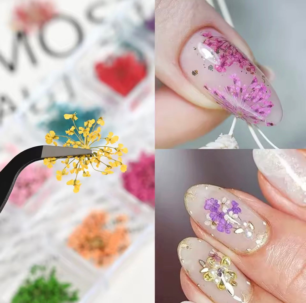 Set Flores Secas