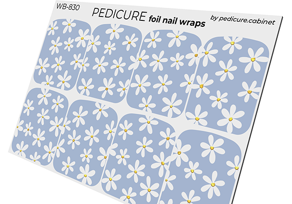 WB-830 - Sticker Pedicure The Nail Wraps