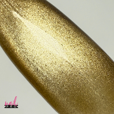 Esmalte Ojo De Gato Mayllard 06 Nail Pro 15 ml