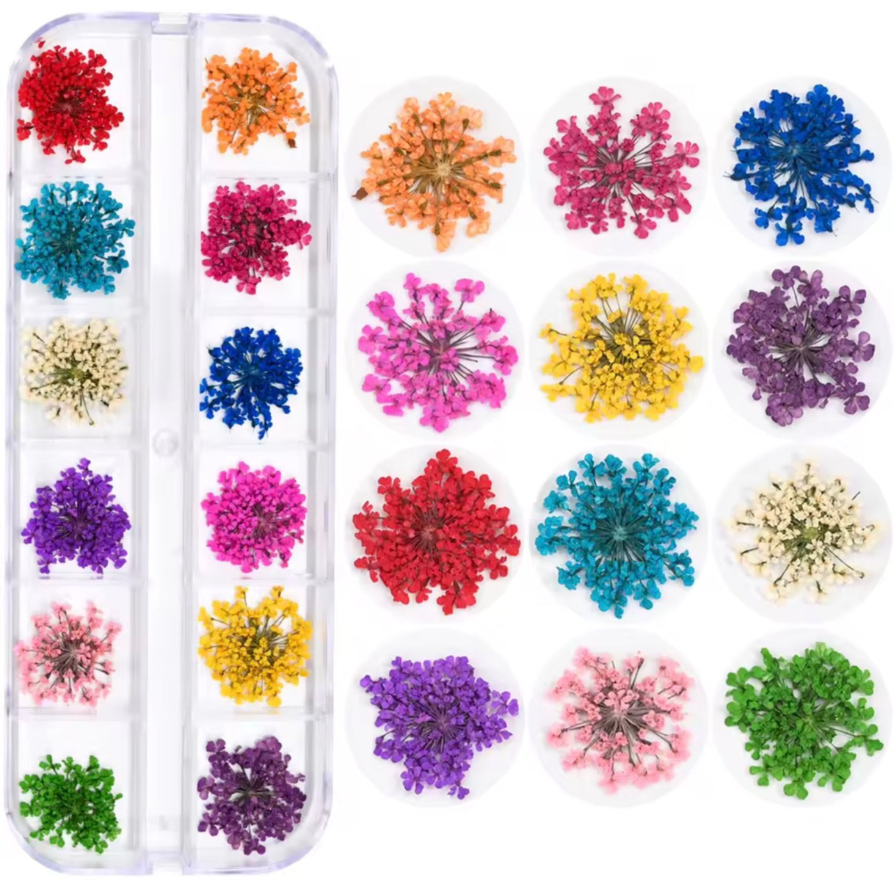 Set Flores Secas