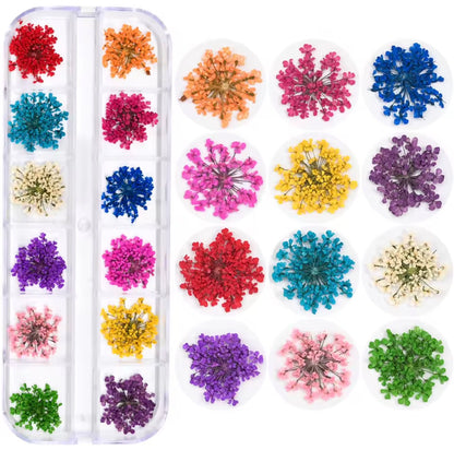 Set Flores Secas