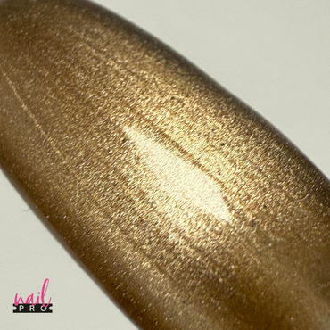 Esmalte Ojo De Gato Mayllard 08 Nail Pro 15 ml